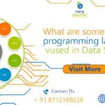 What Are Some Popular Programming Languages Vused in Data Science?