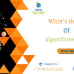 What's the Role of Algorithms In Ml?