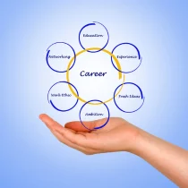 Career Guidance
